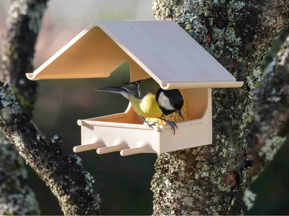 Wild Bird Fat-Ball Feeder