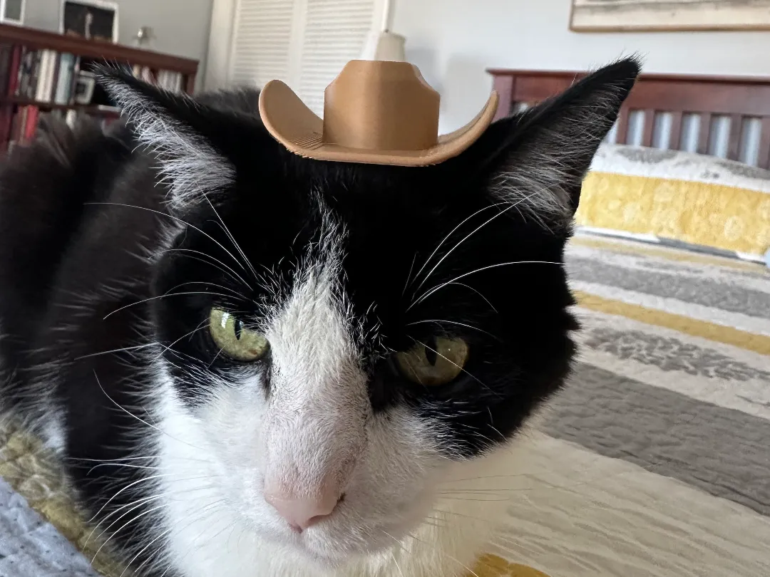 Cat Cowboy Hat