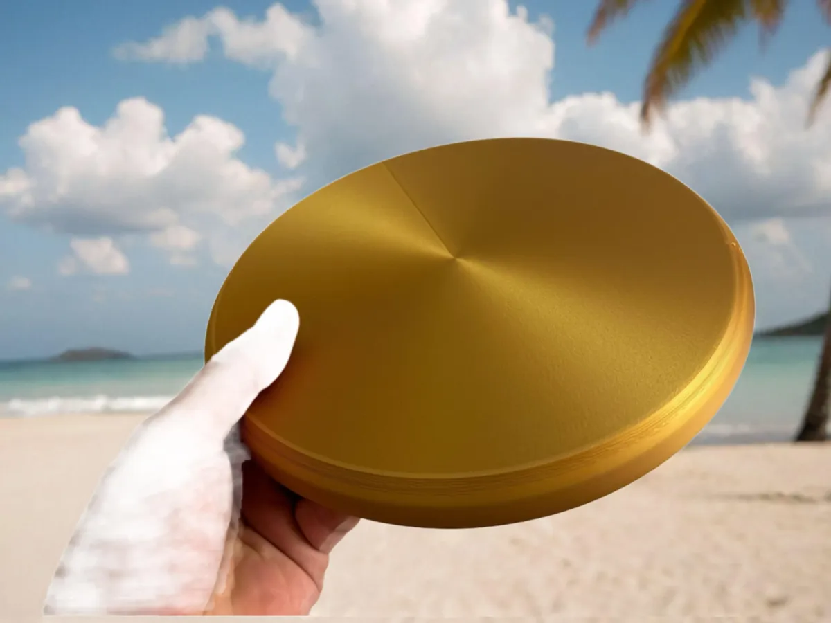 Dog Fetch Disc