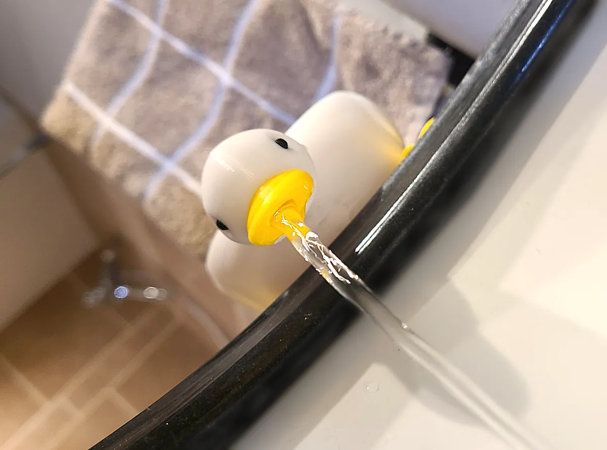 Duck Soap Dish — photo 2
