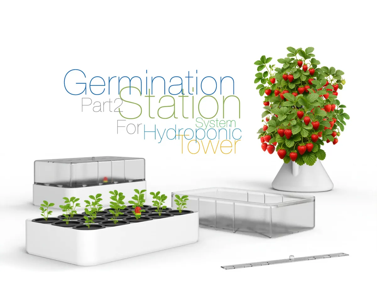 Seed Germination Station