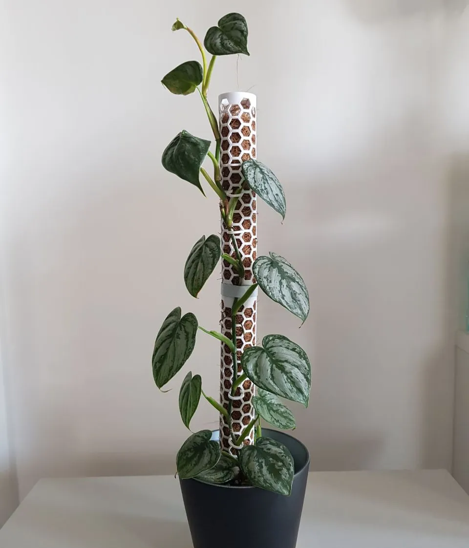 Modular Moss Pole
