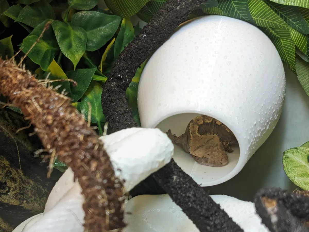 Reptile Terrarium Hide (Suction)