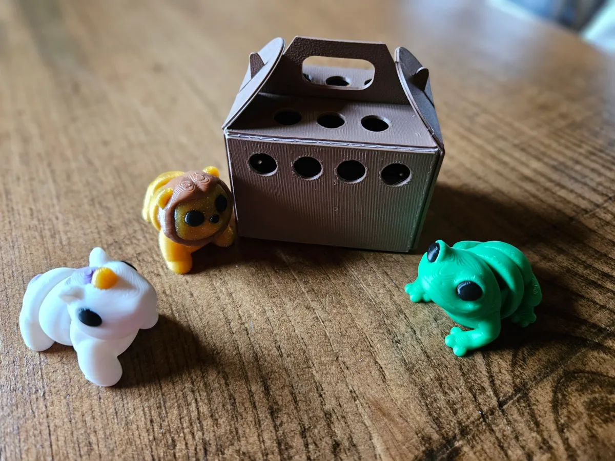 Small Pet Travel Carrier